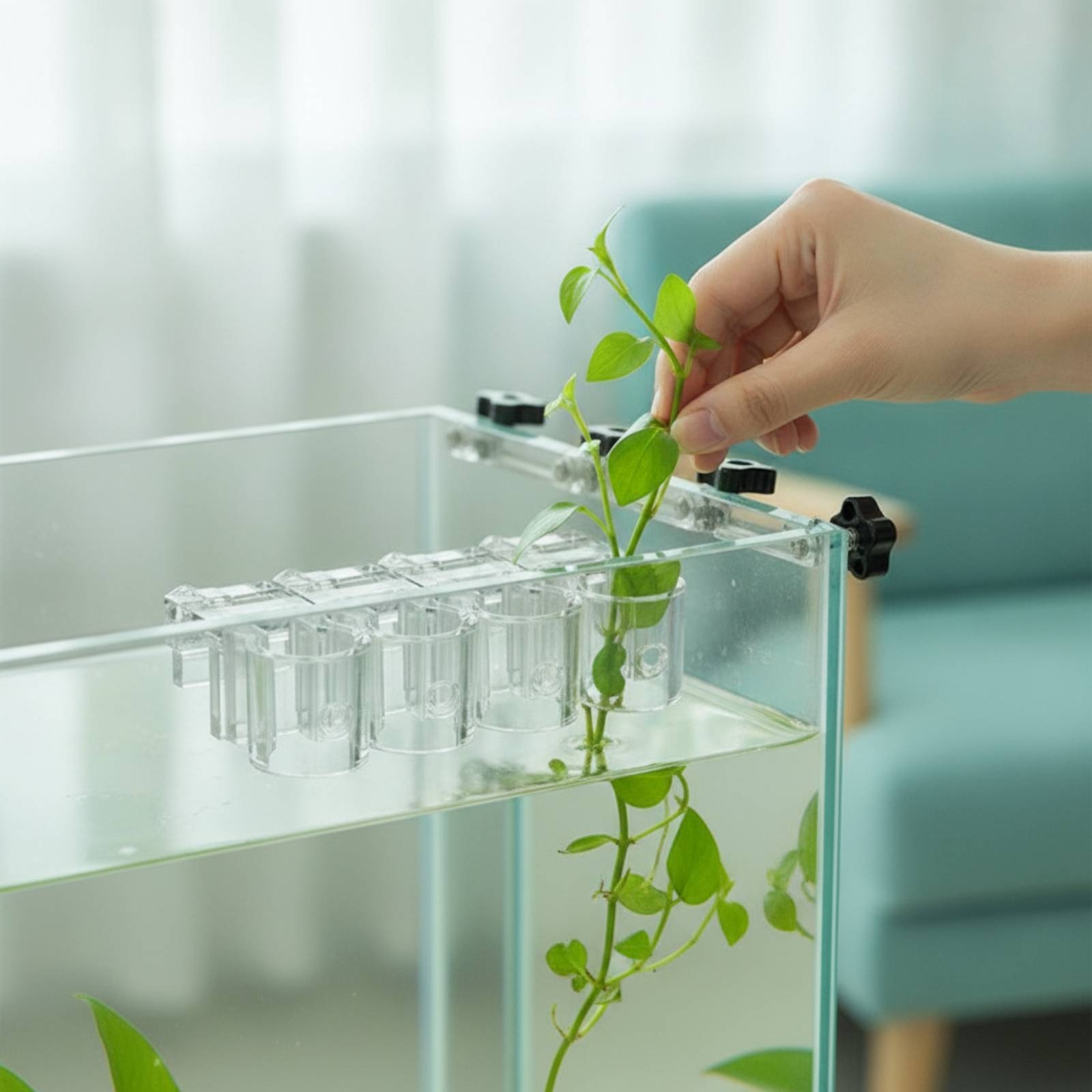 Aquarium Planted Aquarium - คลิปหนีบกระถางปลูกพืชน้ำแบบใส 6 ชิ้น พร้อมสกรู สำหรับคนเลี้ยงปลาและตู้ปลา