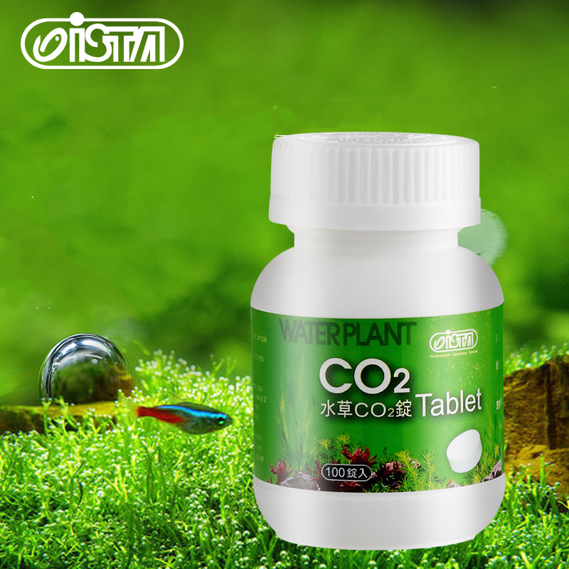 Planted Aquarium Without Fish - ISTA Fish Tank Aquarium CO2แท็บเล็ตช้าพืชปุ๋ยถัง Out