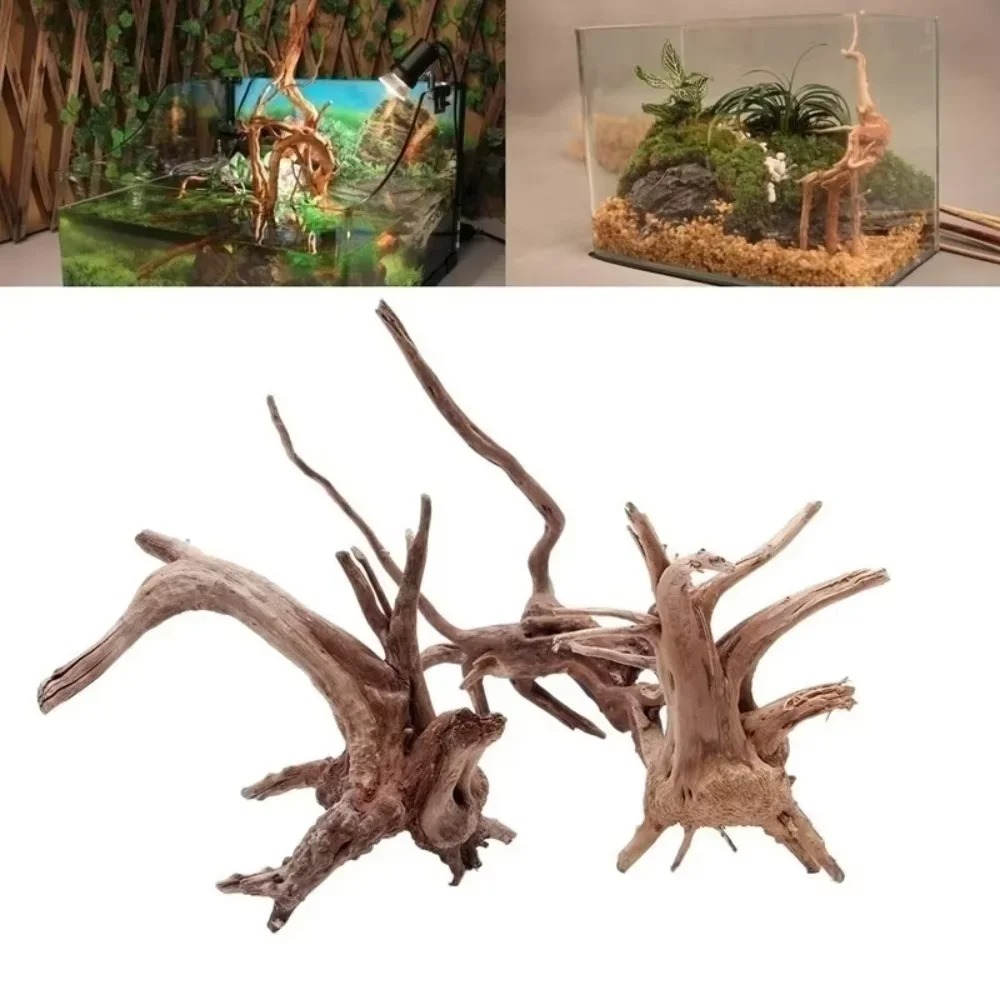 Aquarium Planted Substrate - ไม้ลอยน้ำธรรมชาติขนาด 15-20 ซม. สำหรับตกแต่งตู้ปลา - ของตกแต่งตู้ปลาคุณภาพพรีเมียม