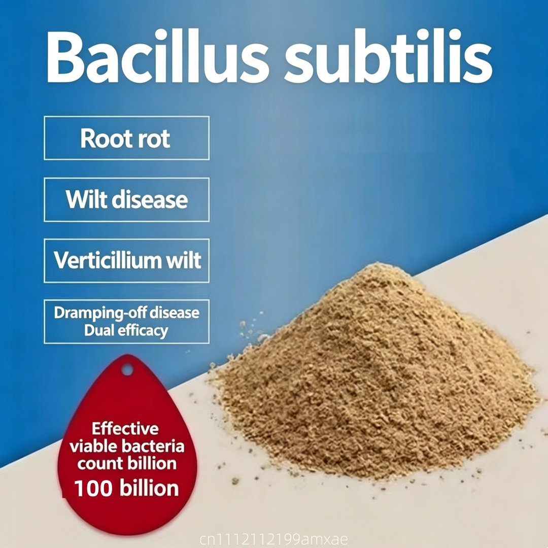 Aquarium Planted Soil - ผงแบคทีเรียบาซิลลัส ซับทิลิส ที่มีความเข้มข้นสูง ปุ๋ยโปรไบโอติกออร์แกนิก สำหรับการเจริญเติบโตของพืชผล บำบัดน้ำในตู้ปลา