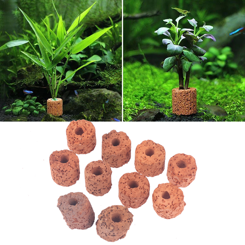 Aquarium Planted Tank Setup - วงแหวนตกแต่งต้นไม้น้ำขนาดเล็ก 10 ชิ้น สำหรับตู้ปลาขนาดเล็ก