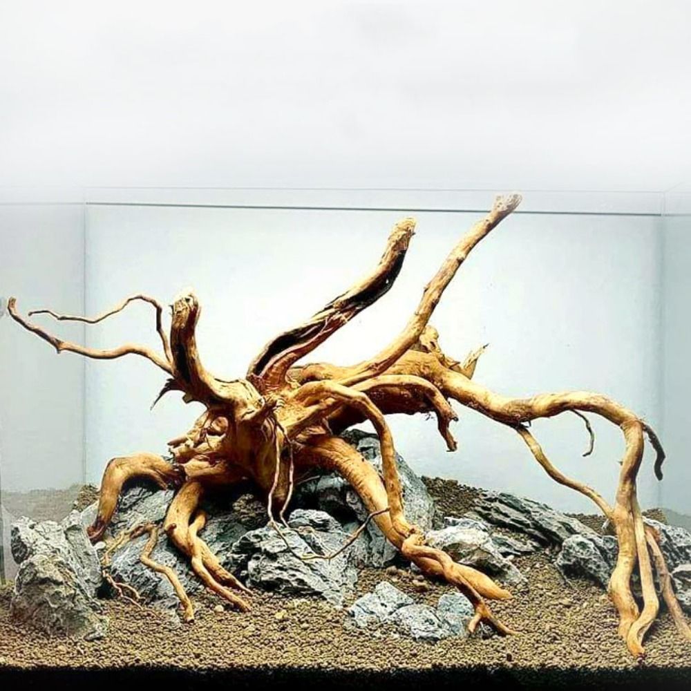 Aquarium Planted Substrate - ไม้ลอยน้ำขนาดใหญ่ 20-25 ซม. สำหรับตกแต่งตู้ปลา ต้นไม้จำลอง ตกแต่งตู้ปลา