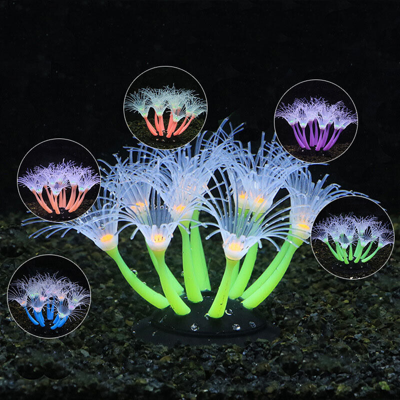 ซิลิโคนเรืองแสงตกแต่งตู้ปลา ปล - Aquarium Planted Substrate บทวิจารณ์และราคา
