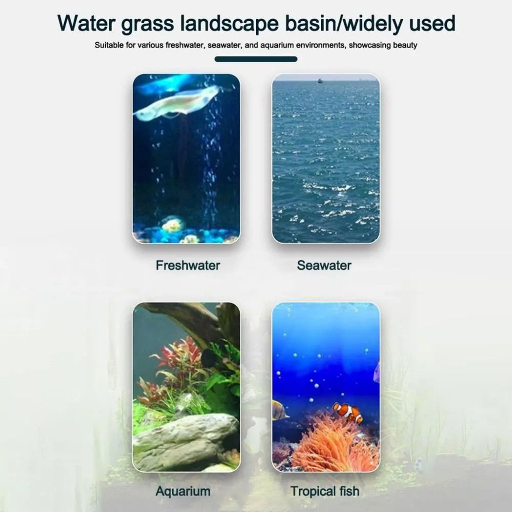 กระถางปลูกพืชแบบไฮโดรโปนิกส์ใส - Planted Aquarium Materials บทวิจารณ์และราคา