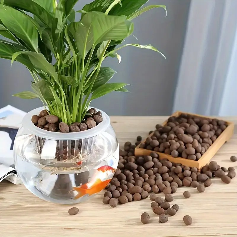 เม็ดดินเผาน้ําหนักเบาและระบายอ - Aquarium Planted Aquarium บทวิจารณ์และราคา