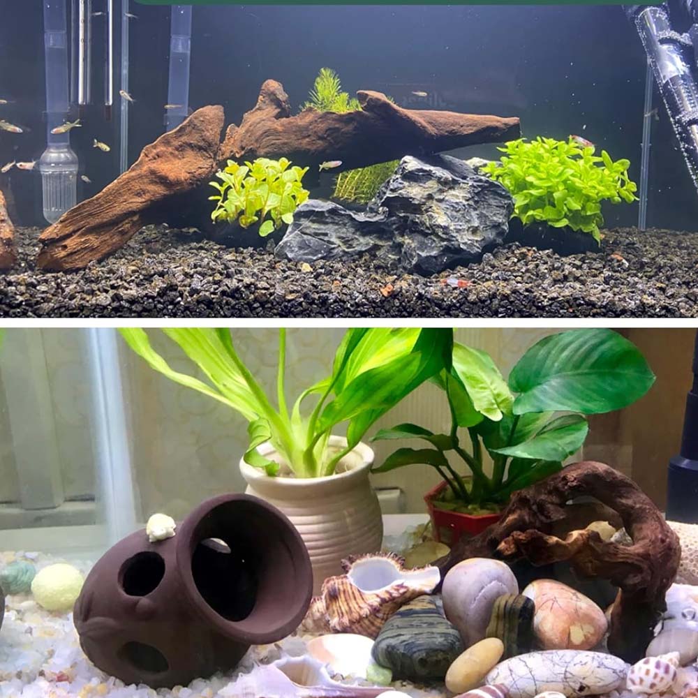 3ชิ้น ﻿ ชุดไม้ดริฟท์ดูเป็นธรรม - Aquarium Planted Substrate บทวิจารณ์และราคา