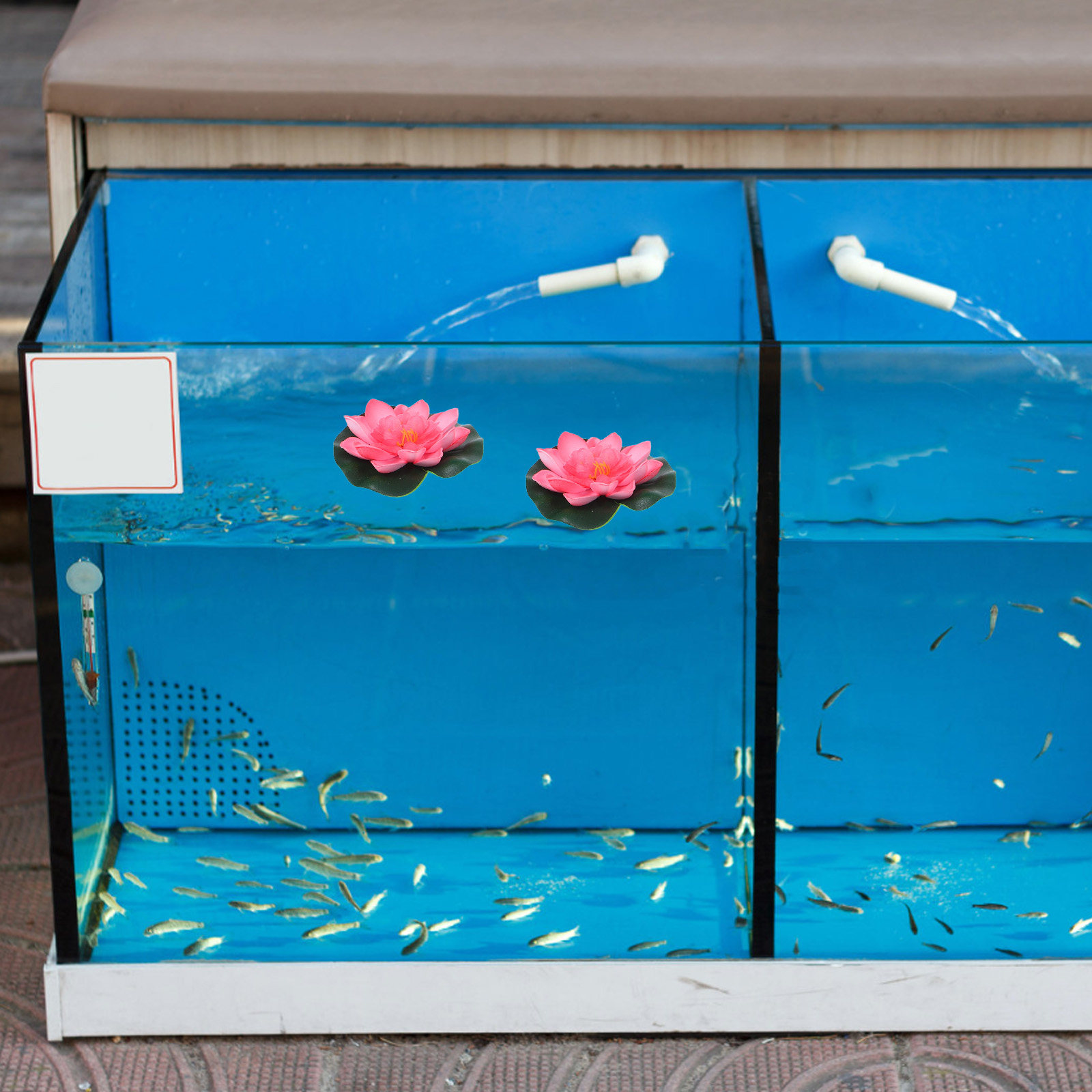 ดอกบัวลอยน้ำเทียม 12 ชิ้น สำหร - Aquarium Planted Aquarium บทวิจารณ์และราคา