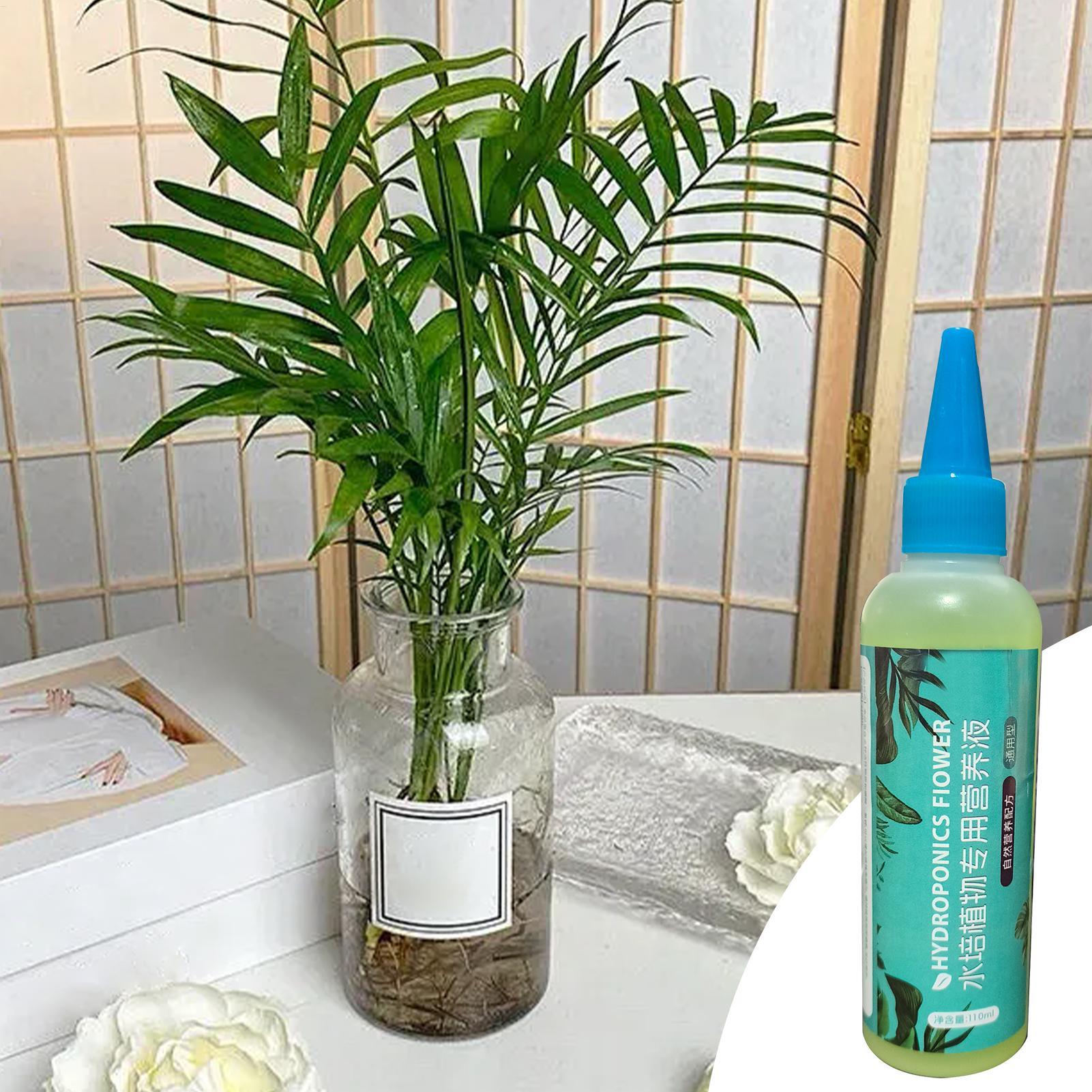 ปุ๋ยสำหรับปลูกพืชแบบไฮโดรโปนิก - Liquid Fertilizer All In บทวิจารณ์และราคา