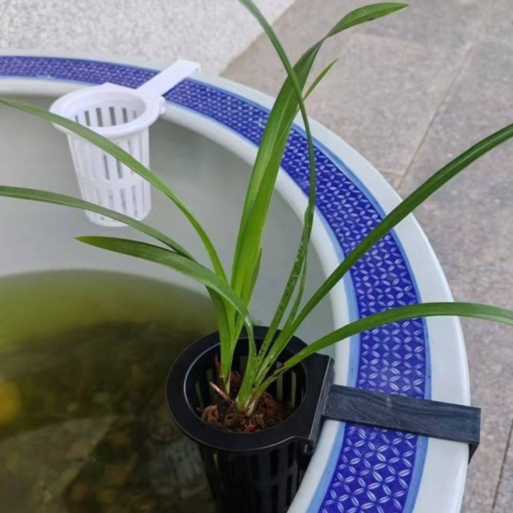 ตะกร้าปลูกพืชน้ำติดผนัง กระถาง - Aquarium Planted Wall บทวิจารณ์และราคา