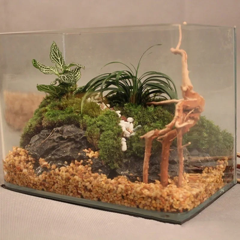 ต้นไม้ธรรมชาติลำต้นไม้ดริฟท์วู - Aquarium Planted Soil บทวิจารณ์และราคา