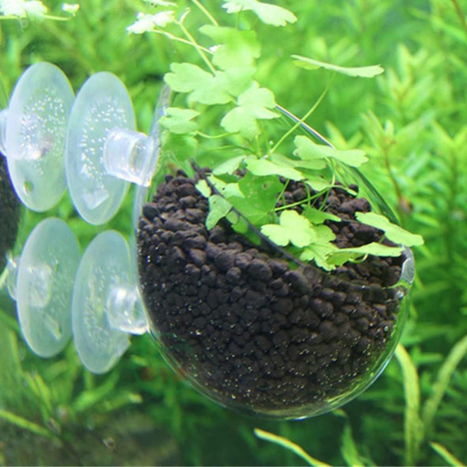 ที่วางต้นไม้ในตู้ปลา กระถางแก้ - Planted Aquarium Materials บทวิจารณ์และราคา