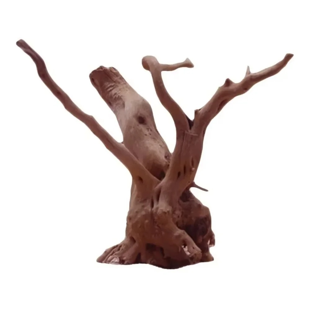 ไม้ลอยน้ำธรรมชาติขนาด 15-20 ซม - Aquarium Planted Substrate บทวิจารณ์และราคา