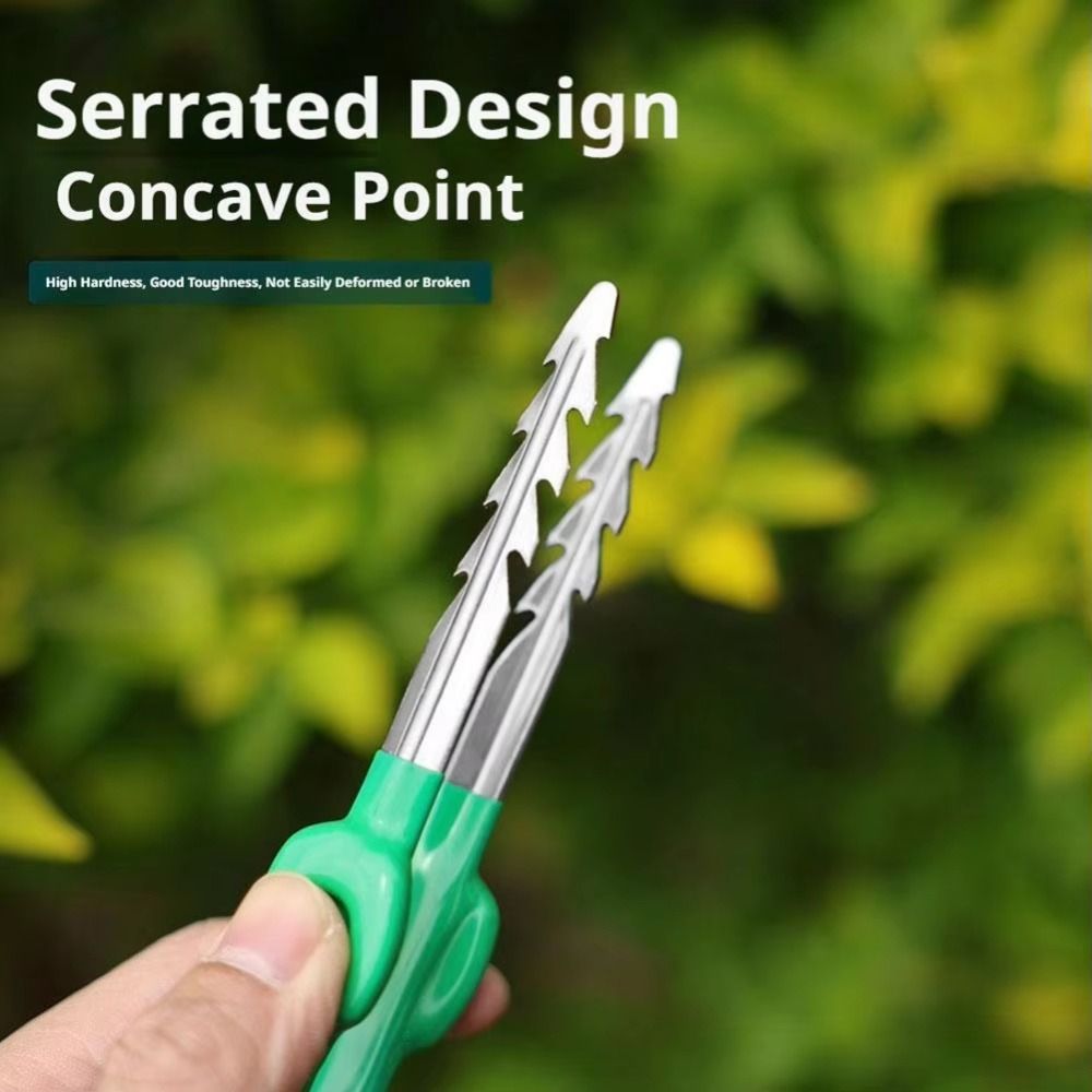 แหนบทำสวนสแตนเลส ปลายแหลมจัดเร - Planted Clip Tweezers บทวิจารณ์และราคา
