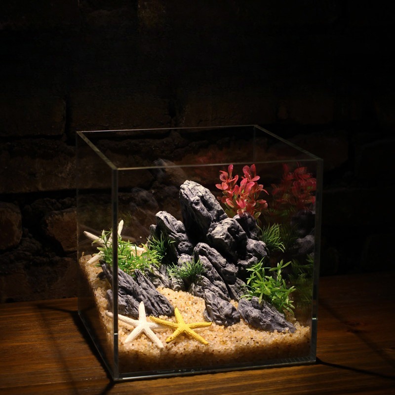ของตกแต่งตู้ปลา หินจำลอง ภูเขา - Aquarium Planted Tank Setup บทวิจารณ์และราคา