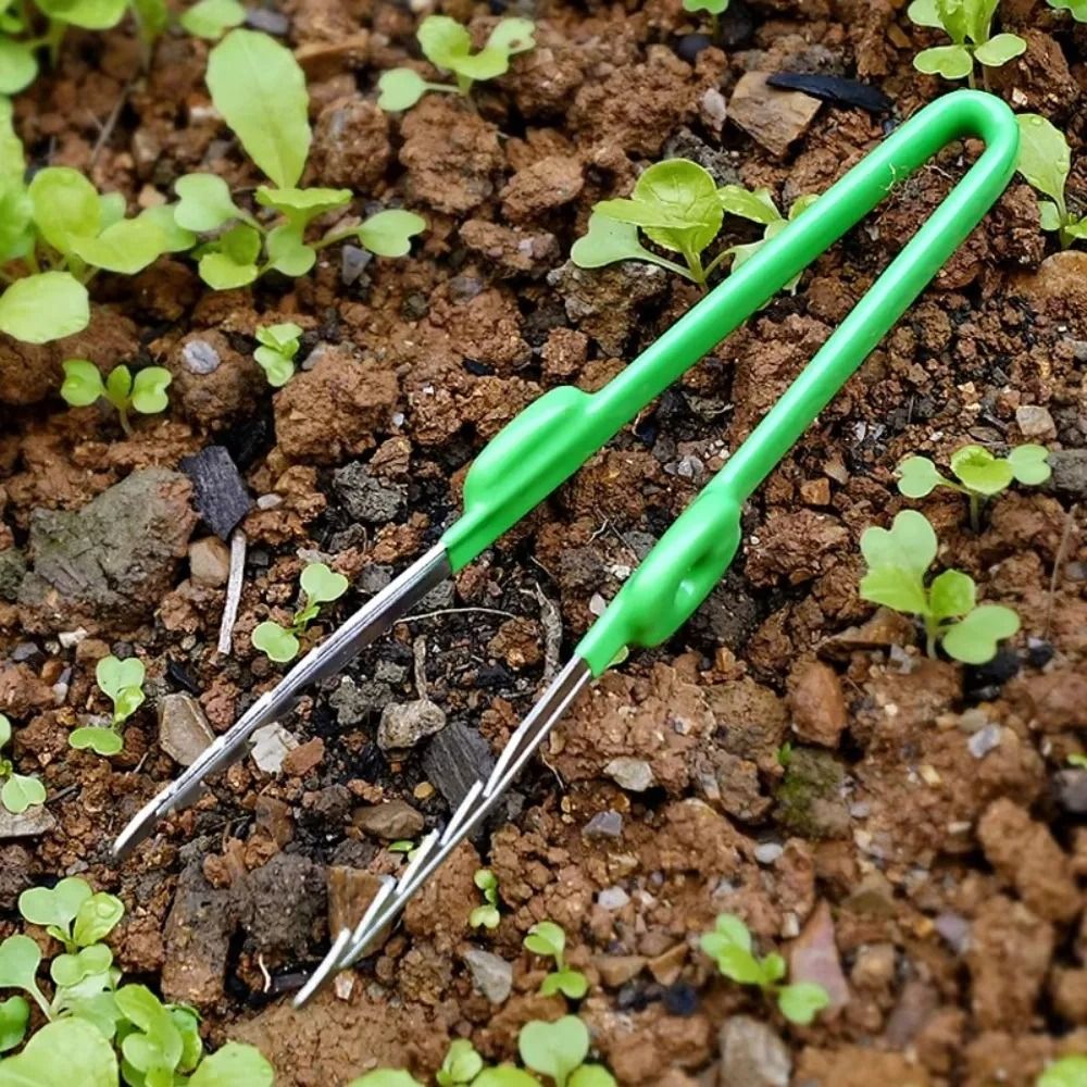 แหนบทำสวนสแตนเลส แข็งแรง ทนทาน - Planted Clip Tweezers บทวิจารณ์และราคา