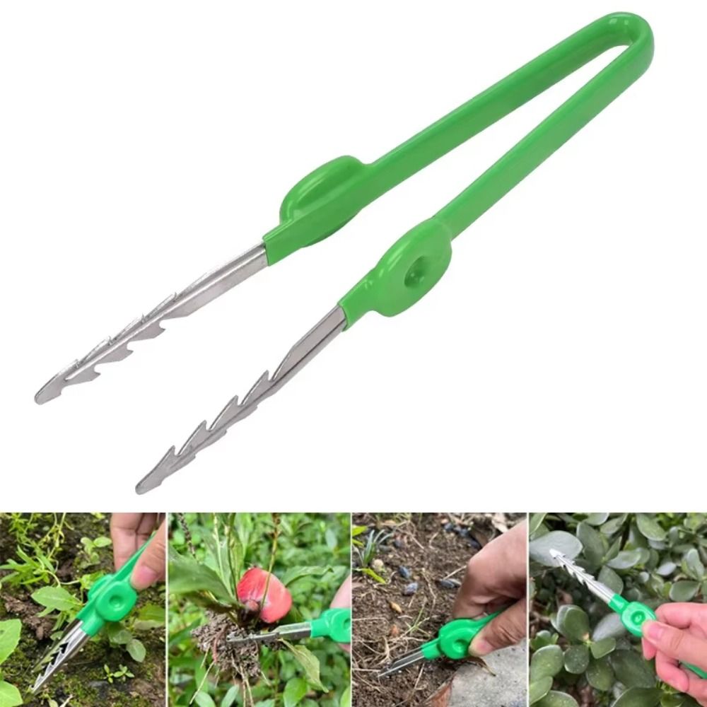 แหนบทำสวนสแตนเลส แข็งแรง ทนทาน - Planted Clip Tweezers บทวิจารณ์และราคา