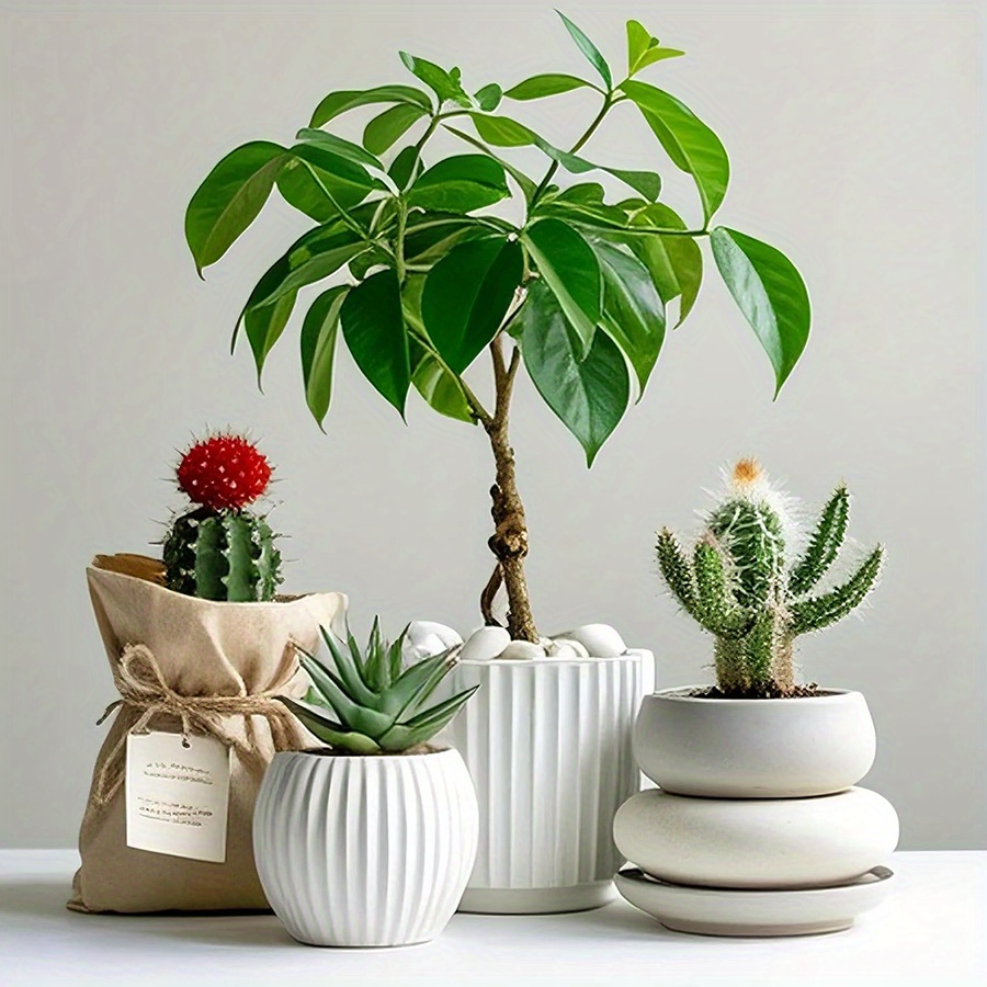 หินกรวดขัดเงาสีขาวธรรมชาติ ขนา - Aquarium Planted Aquarium บทวิจารณ์และราคา
