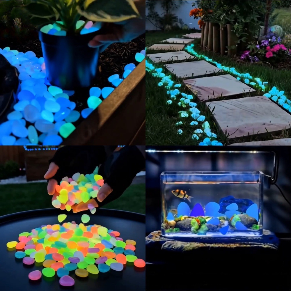 หินเรืองแสงหลากสีสันสำหรับตกแต - Aquarium Planted Aquarium บทวิจารณ์และราคา