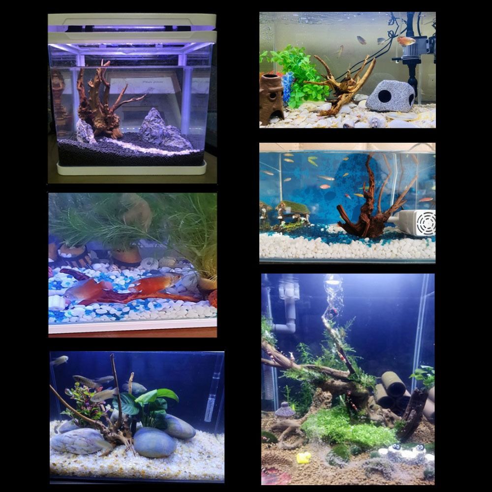 ลำต้นของต้นไม้ธรรมชาติตกแต่งงา - Aquarium Planted Substrate บทวิจารณ์และราคา