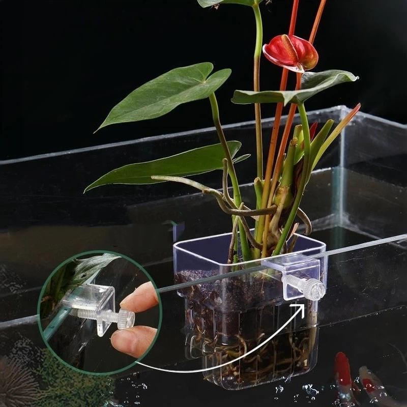 ที่แขวนต้นไม้ในตู้ปลาแบบใส ติด - Aquarium Plant Easy To Grow บทวิจารณ์และราคา