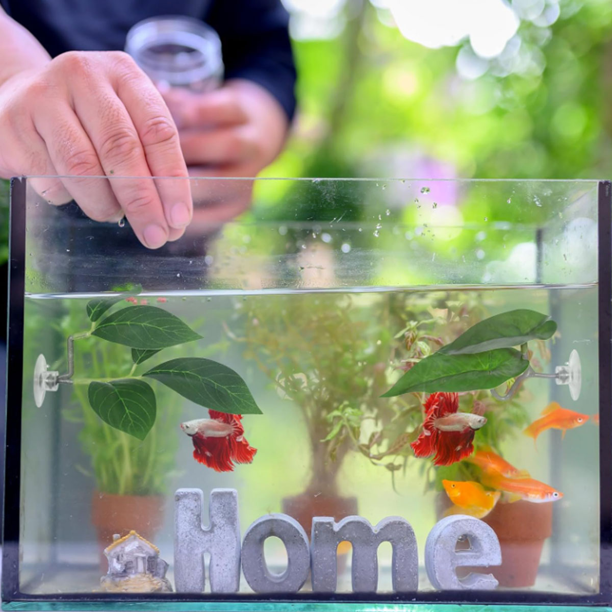 เปลปลาเบตต้า 1 ชิ้น ของตกแต่งต - Planted Aquarium Materials บทวิจารณ์และราคา