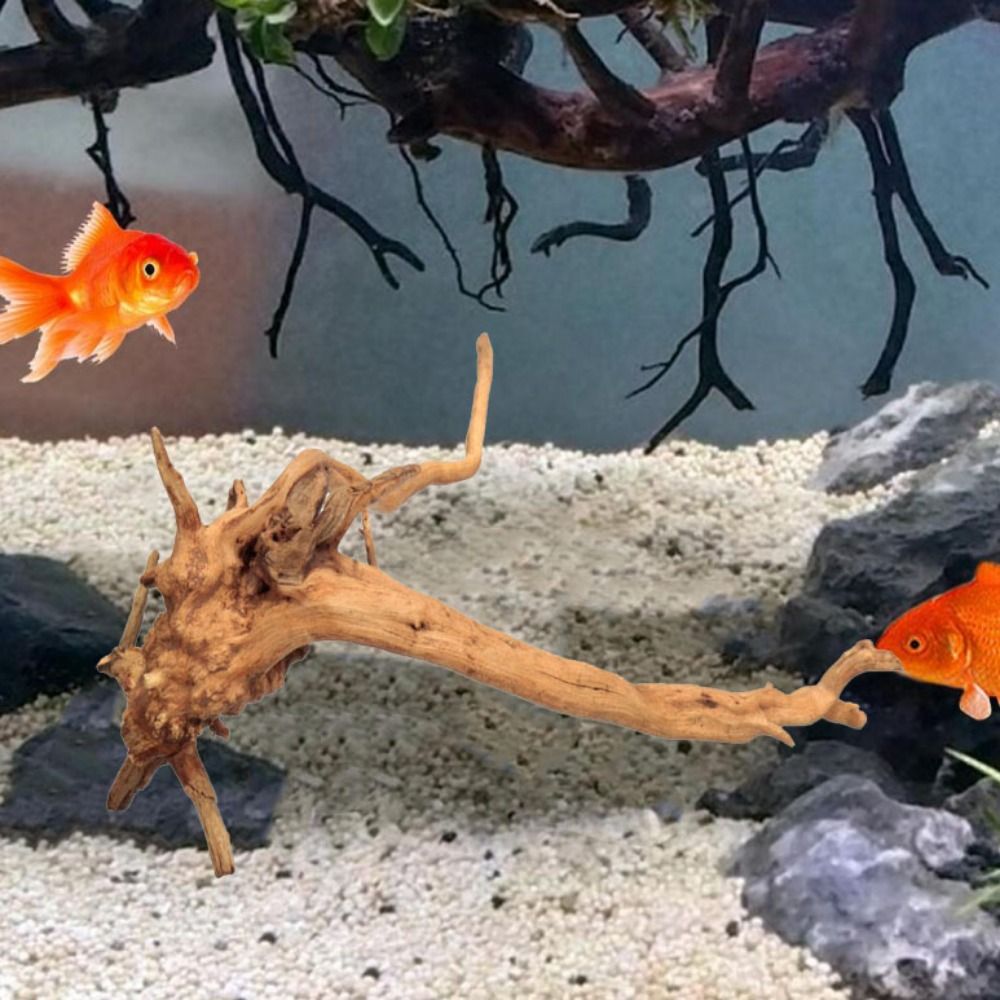 ไม้ลอยน้ำขนาดใหญ่ 20-25 ซม. สำ - Aquarium Planted Substrate บทวิจารณ์และราคา
