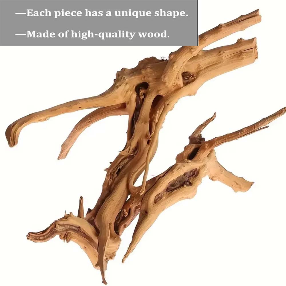 ไม้ลอยน้ำขนาดใหญ่ 20-25 ซม. สำ - Aquarium Planted Substrate บทวิจารณ์และราคา