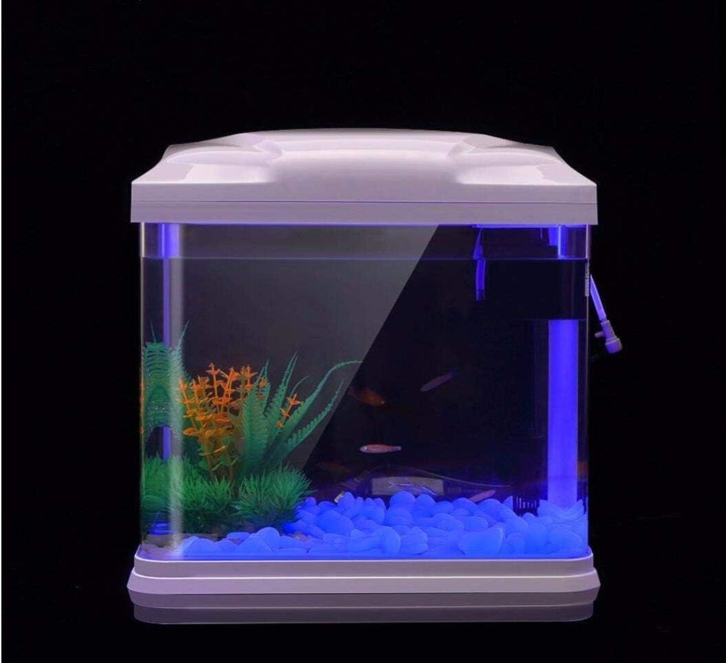 ถังปลา Rocks Glow Blue Pebbles - Aquarium Planted Aquarium บทวิจารณ์และราคา