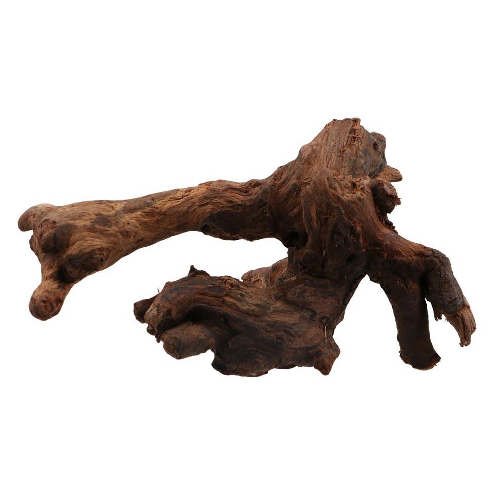 ไม้ปะการังรูปทรงแปลกตา ไม้ธรรม - Aquarium Planted Soil บทวิจารณ์และราคา