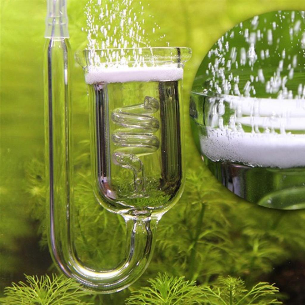 เครื่องกระจายก๊าซคาร์บอนไดออกไ - Aquarium Planted Tank Setup บทวิจารณ์และราคา