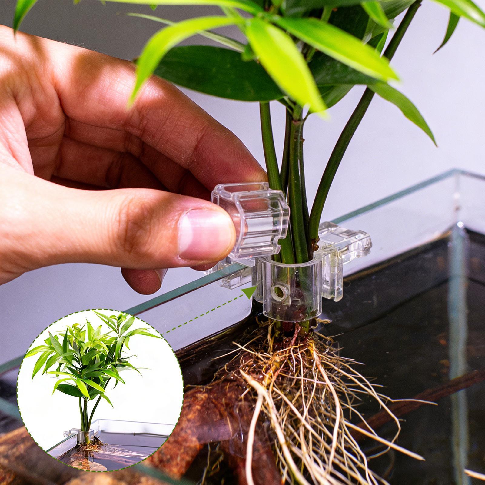ที่แขวนต้นไม้ในตู้ปลา 6 ชิ้น ถ - Aquarium Planted Soil บทวิจารณ์และราคา
