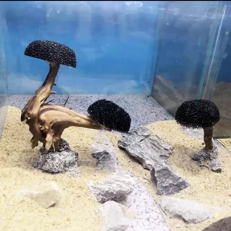 ถังปลาพืช MOSS ตกแต่งต้นไม้ภูม - Planted Aquarium Without Fish บทวิจารณ์และราคา