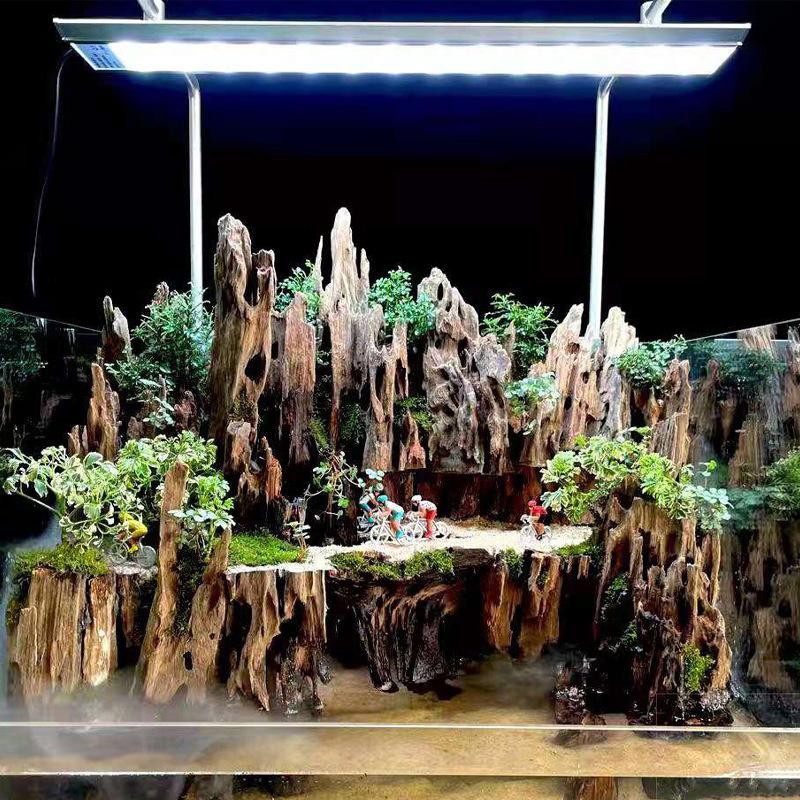 △   ไม้ตกแต่งตู้ปลา ไม้ลอยน้ำ  - Aquarium Planted Substrate บทวิจารณ์และราคา