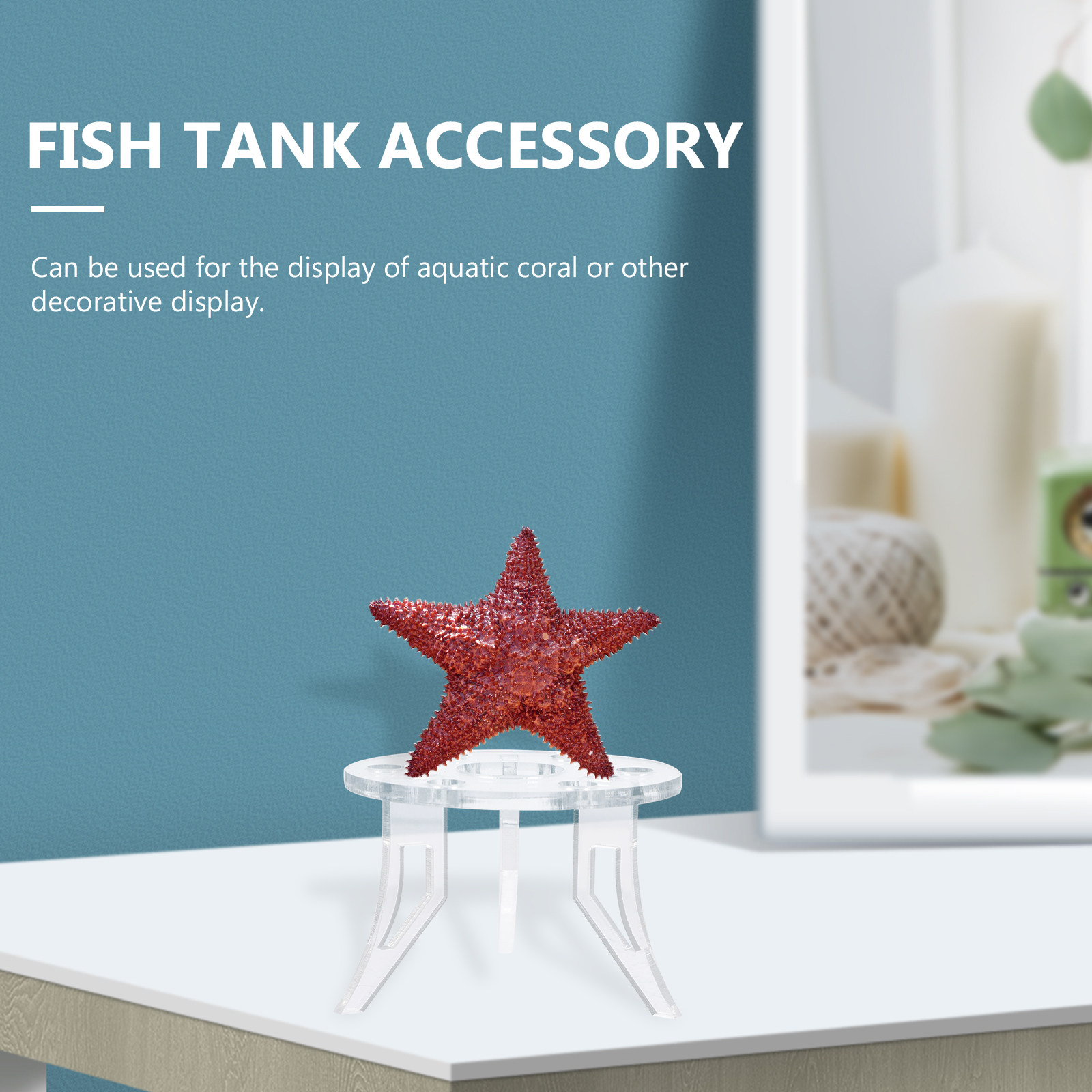 ฐานวางปะการัง 1 ชิ้น อุปกรณ์ตก - Aquarium Planted Tank Setup บทวิจารณ์และราคา